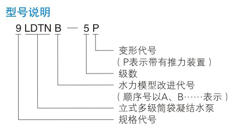 電站泵型號說明 電站泵型號說明